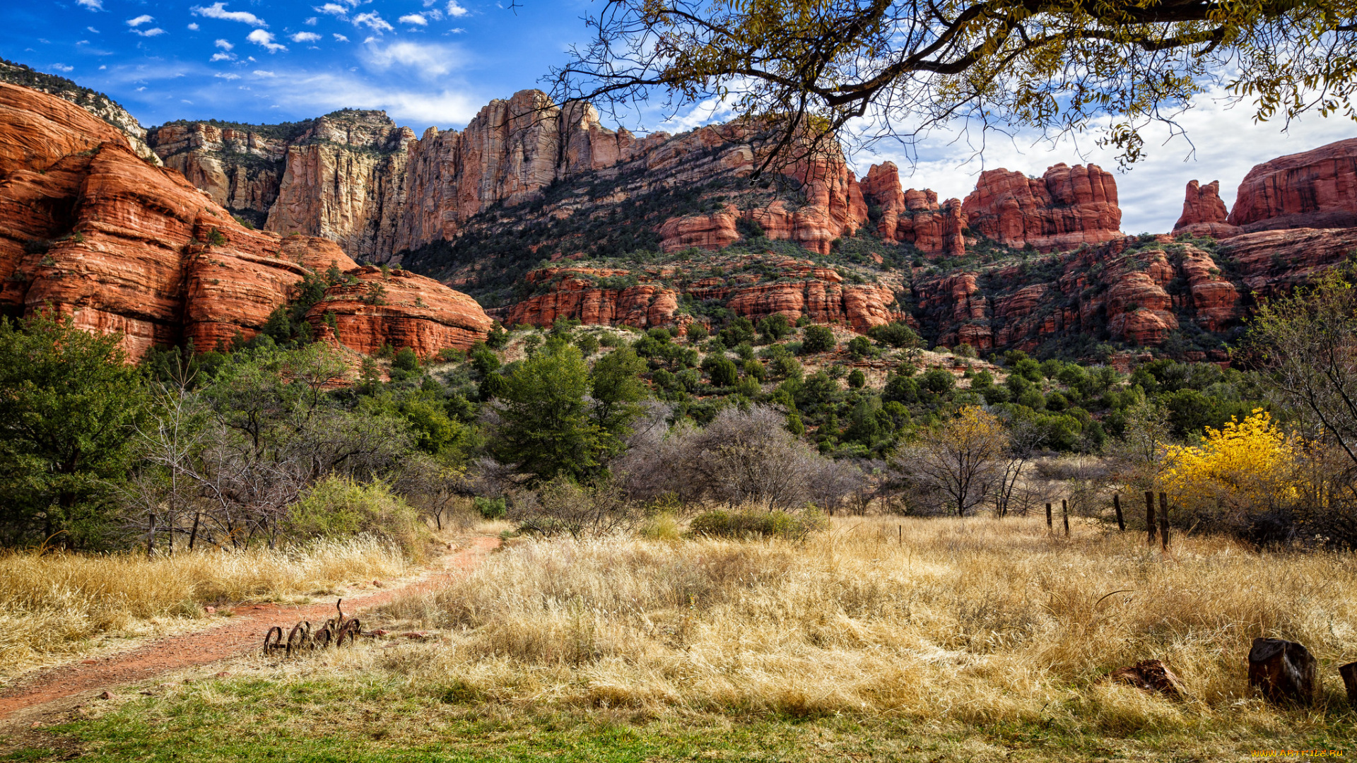 природа, горы, простор