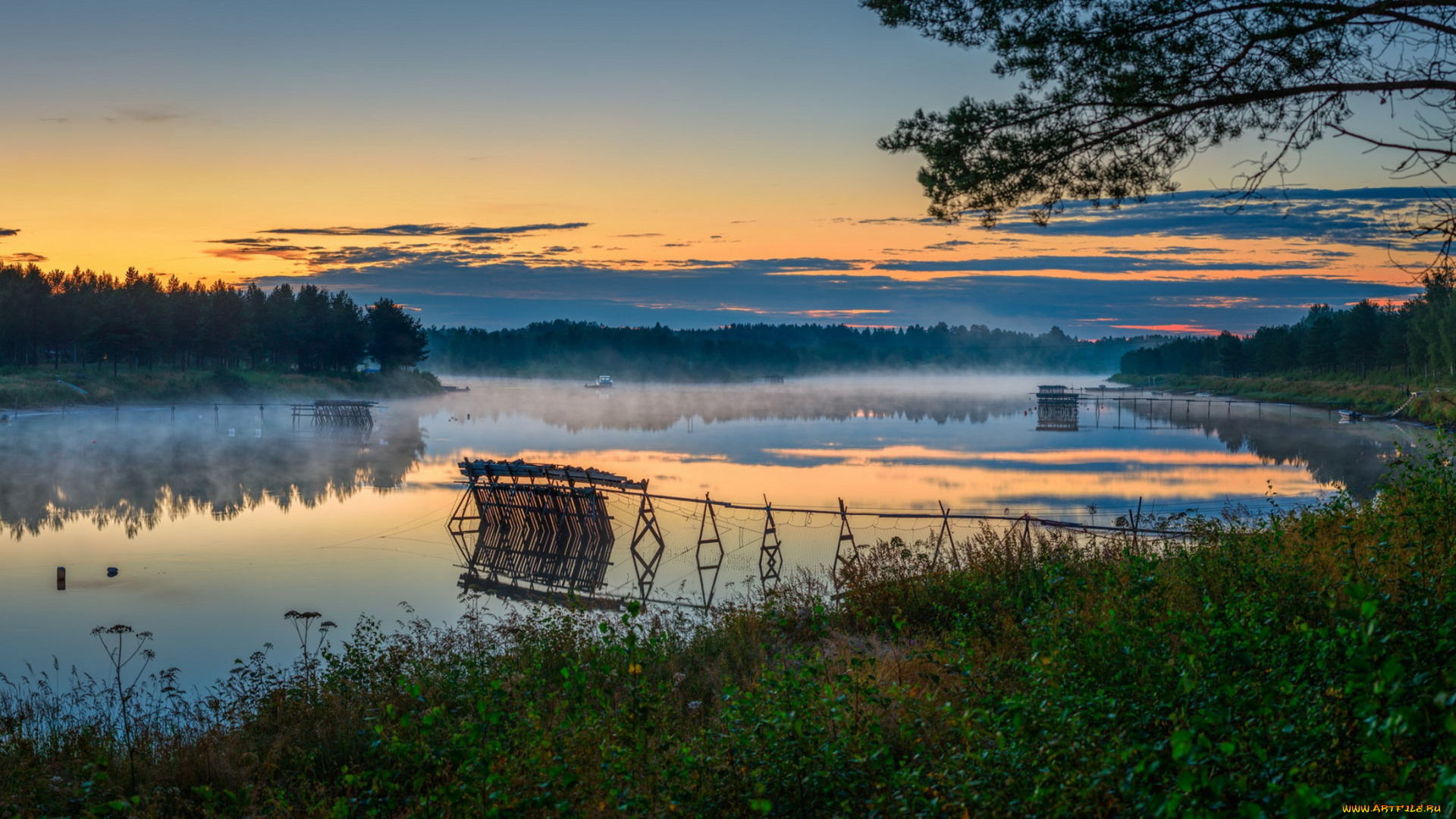 природа, реки, озера, лес, река