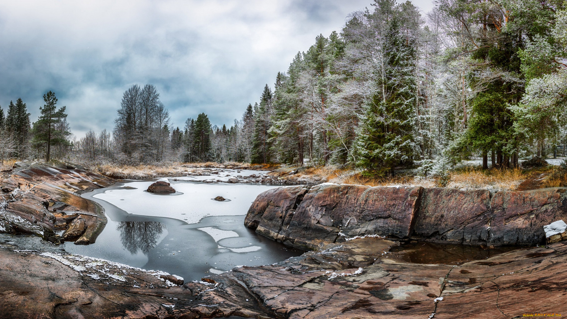 природа, реки, озера, река, лес