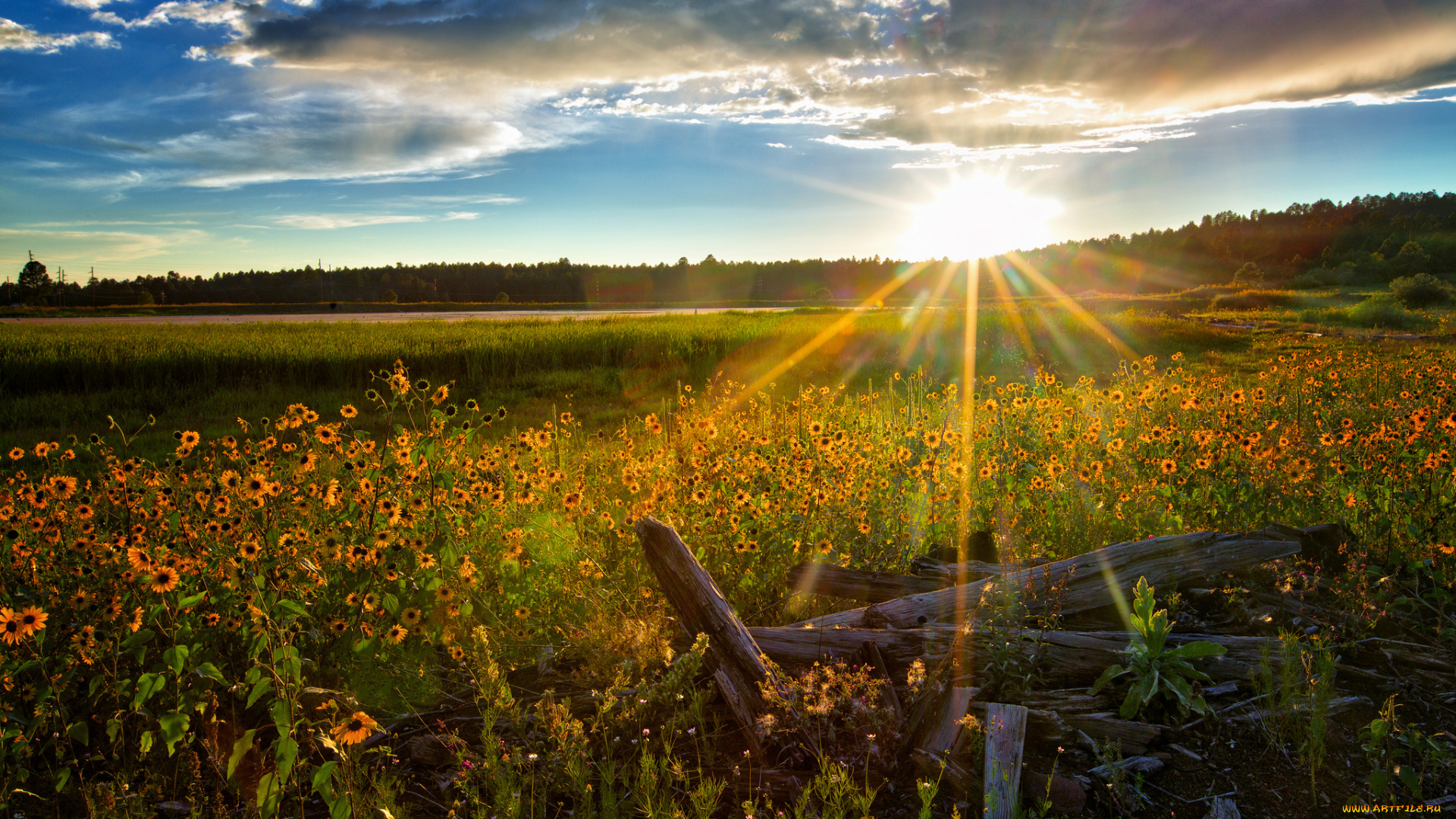 природа, восходы, закаты, рассвет