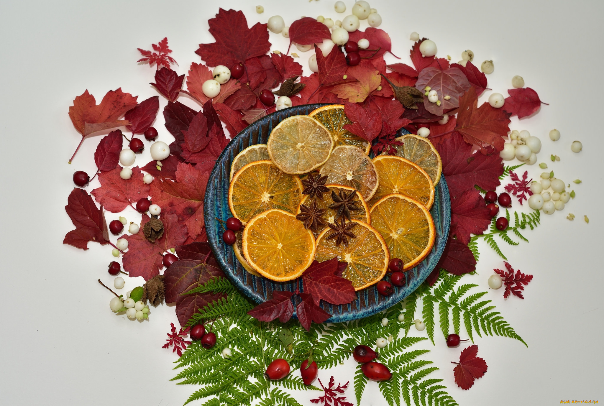 еда, цитрусы, снедь