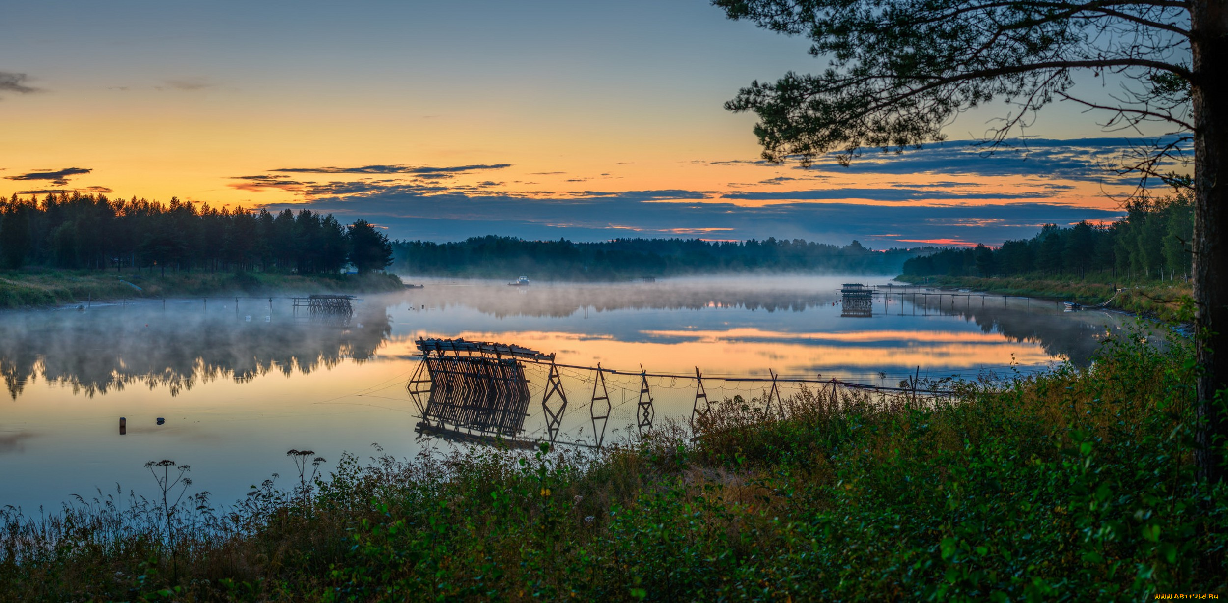 природа, реки, озера, лес, река