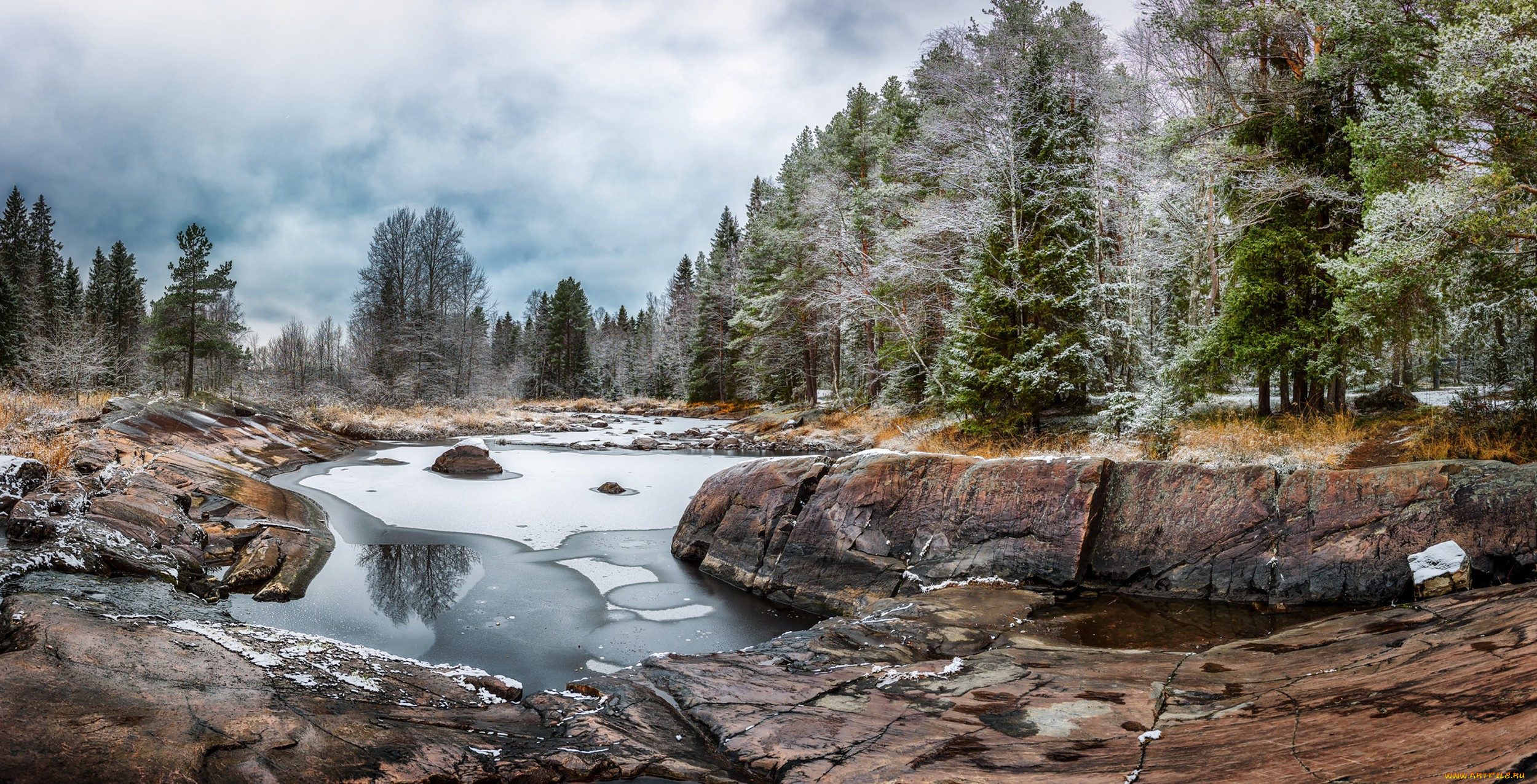 природа, реки, озера, река, лес