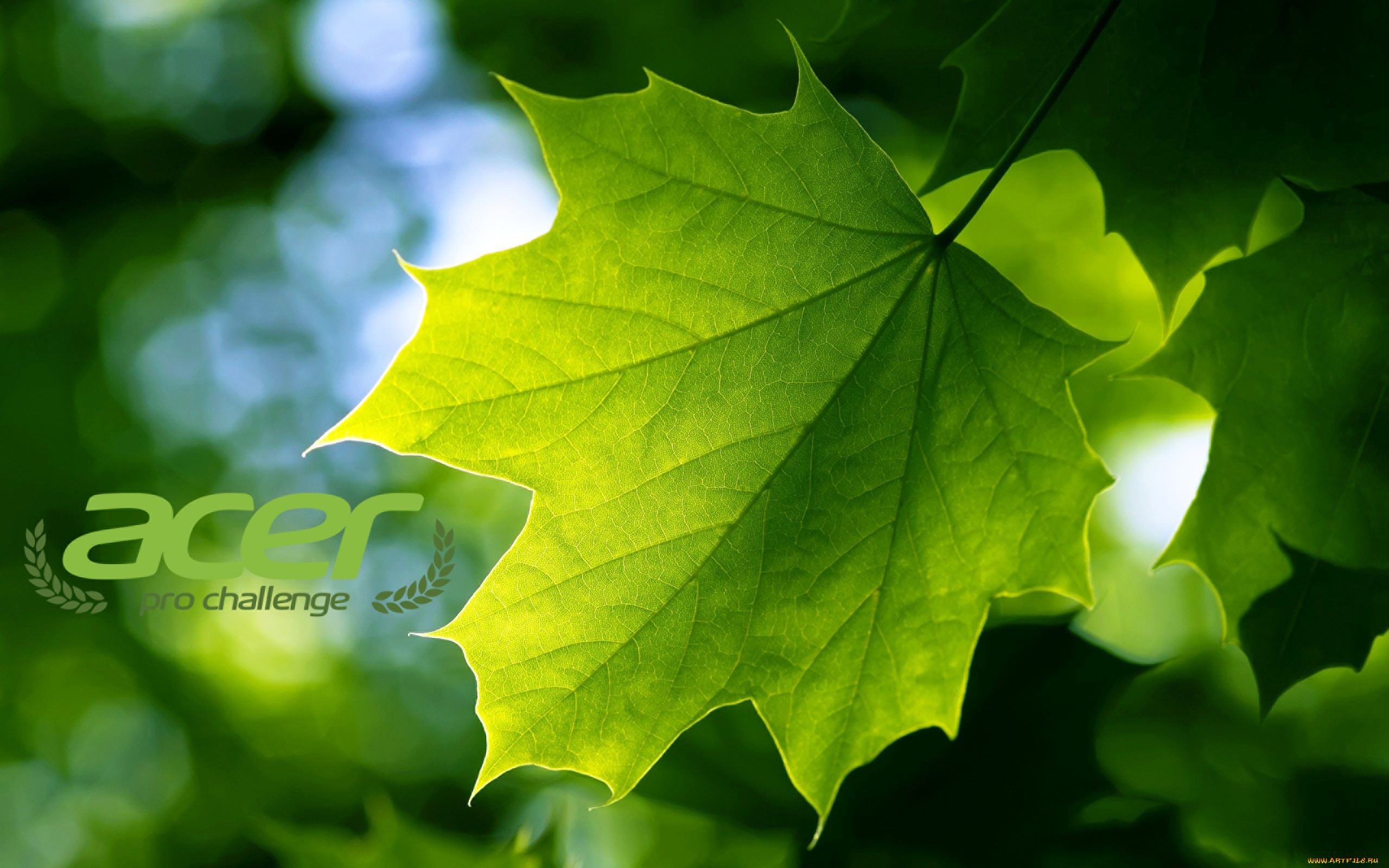 компьютеры, acer, логотип, фон