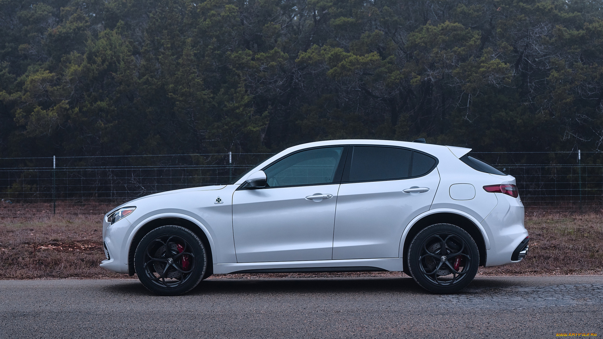 2018, alfa, romeo, stelvio, quadrifoglio, автомобили, alfa, romeo, alfa, romeo, stelvio, внедорожник, white, car, альфа, ромео, quadrifoglio, профиль, 2018