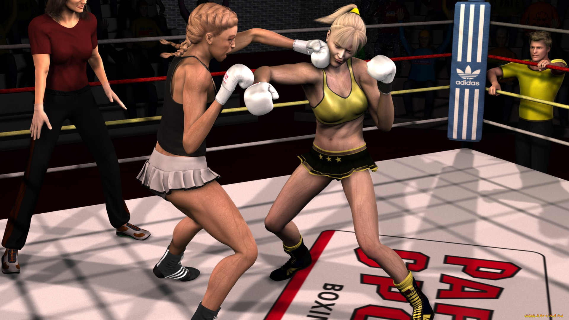3д, графика, люди, , people, девушки, ринг, фон, взгляд, бокс