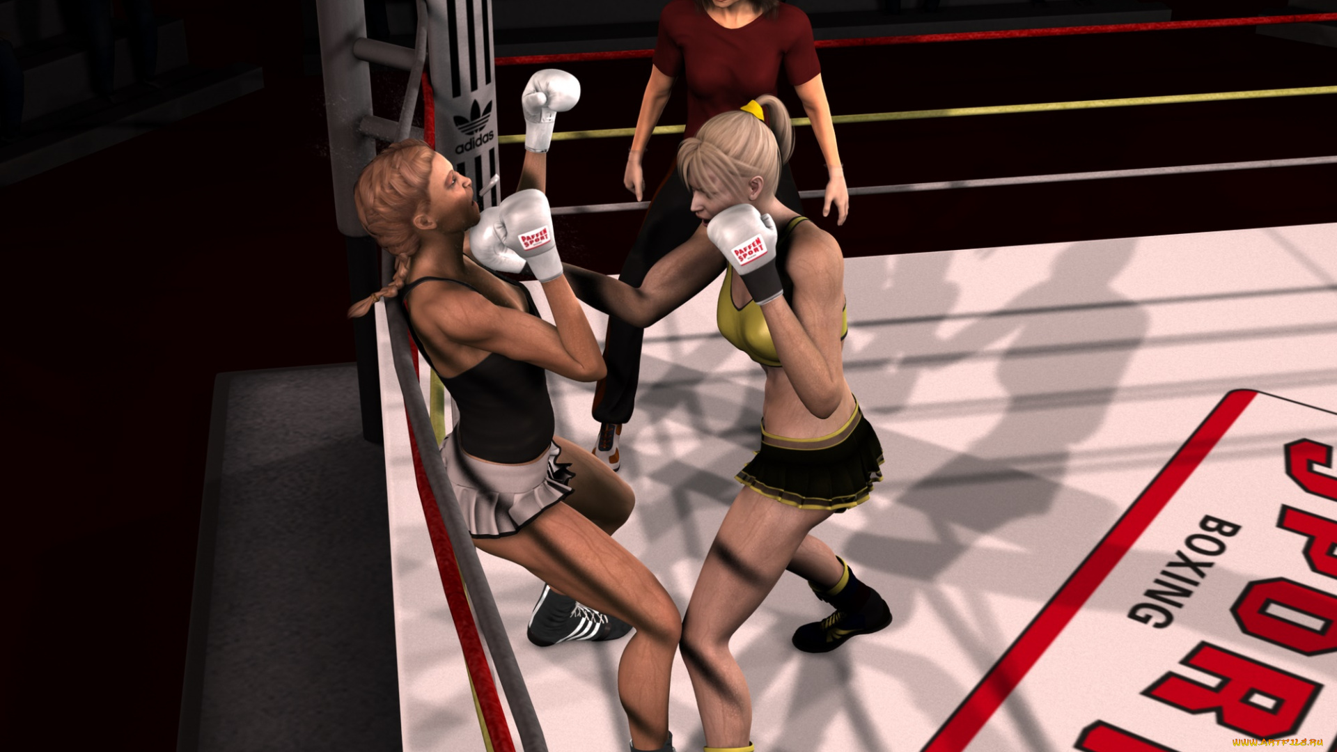 3д, графика, спорт, , sport, бокс, ринг, фон, девушки, взгляд