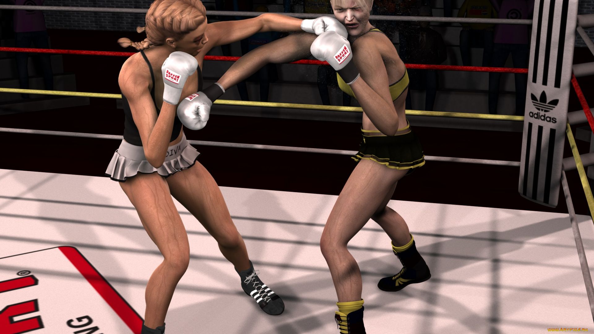 3д, графика, спорт, , sport, фон, взгляд, девушки, ринг, бокс