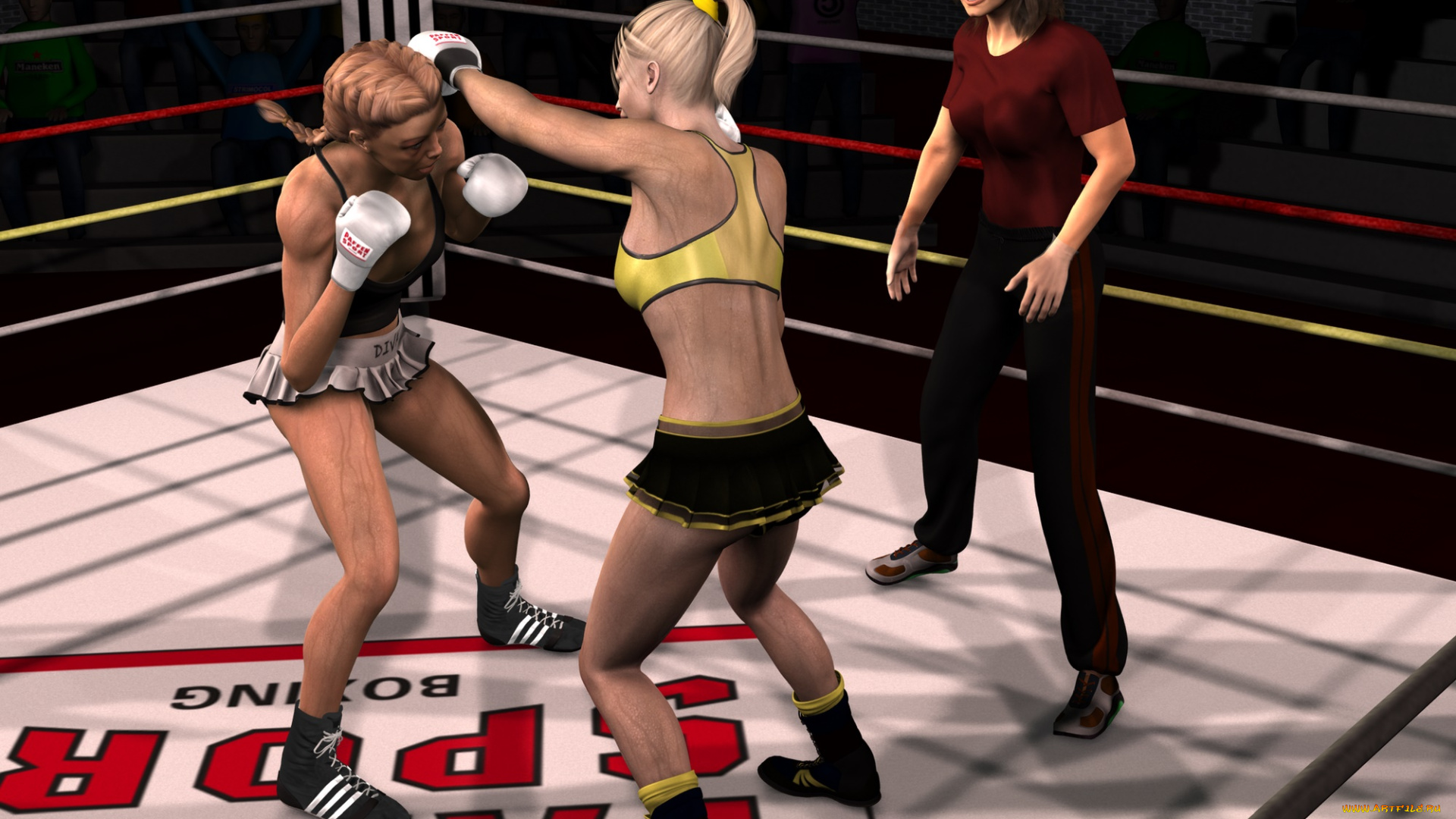 3д, графика, спорт, , sport, ринг, фон, взгляд, девушки, бокс