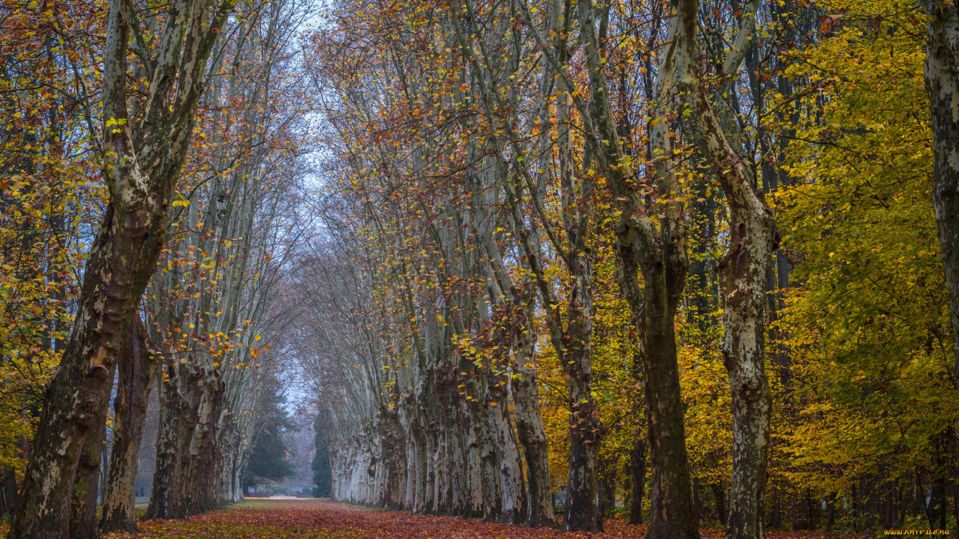 природа, дороги, простор