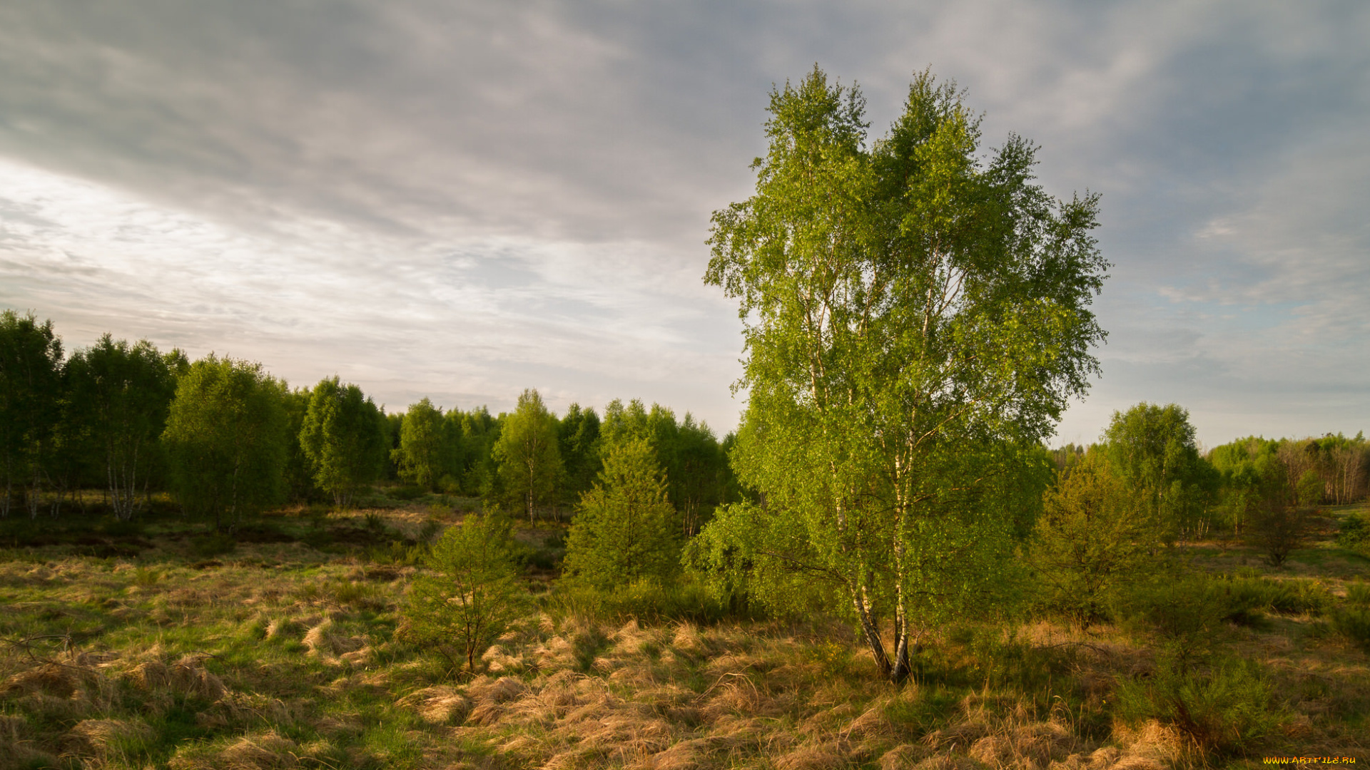 природа, пейзажи, простор