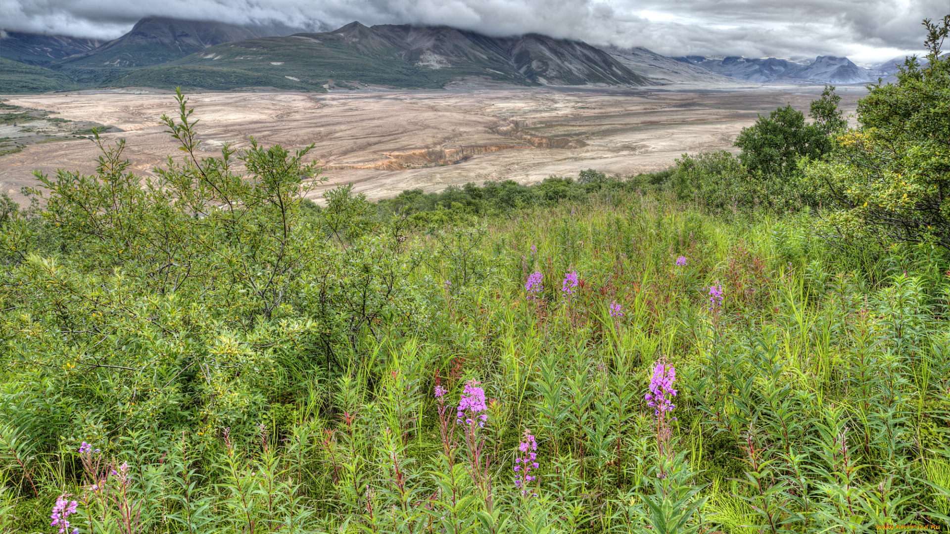 природа, пейзажи, простор