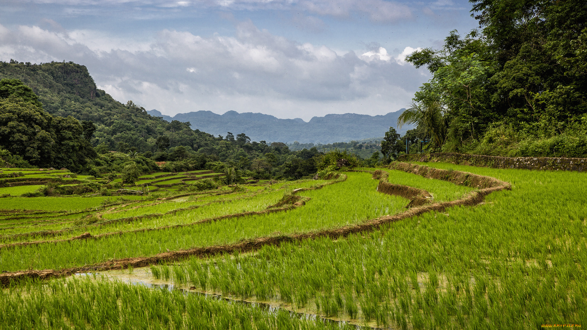 природа, пейзажи, простор