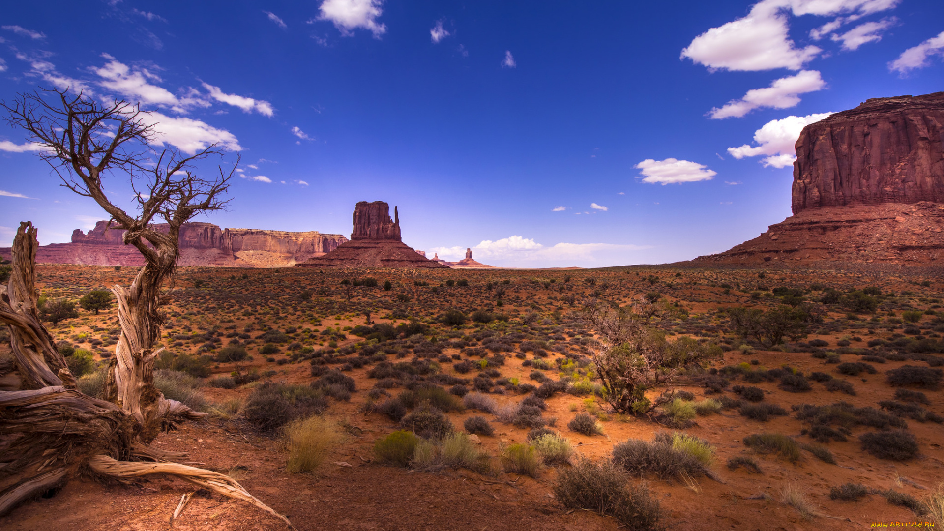 природа, пустыни, простор