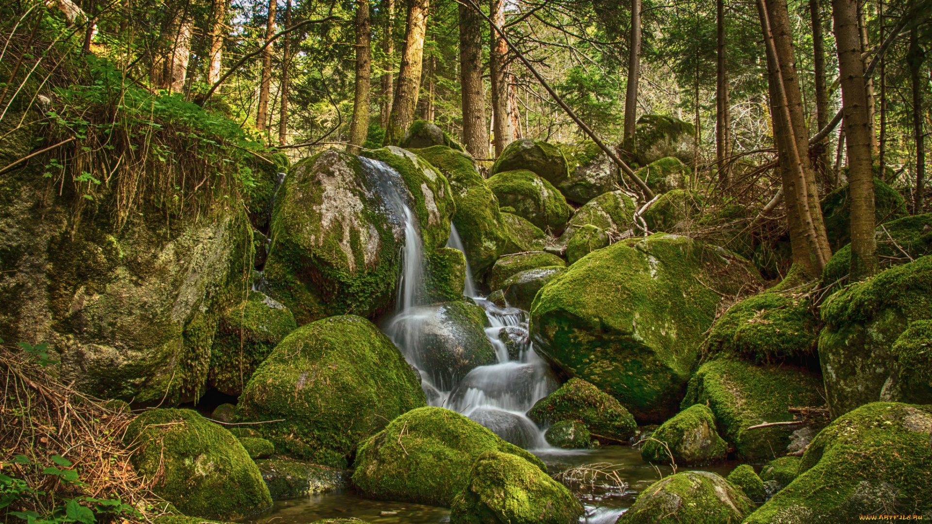 природа, реки, озера, простор