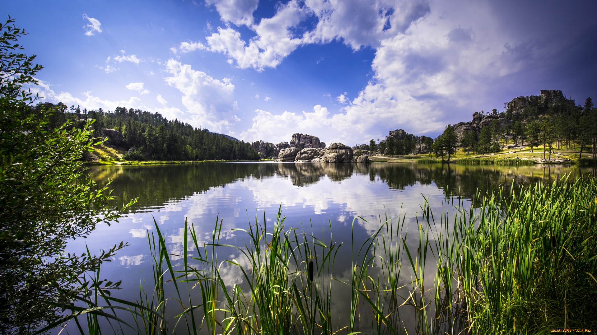 природа, реки, озера, простор