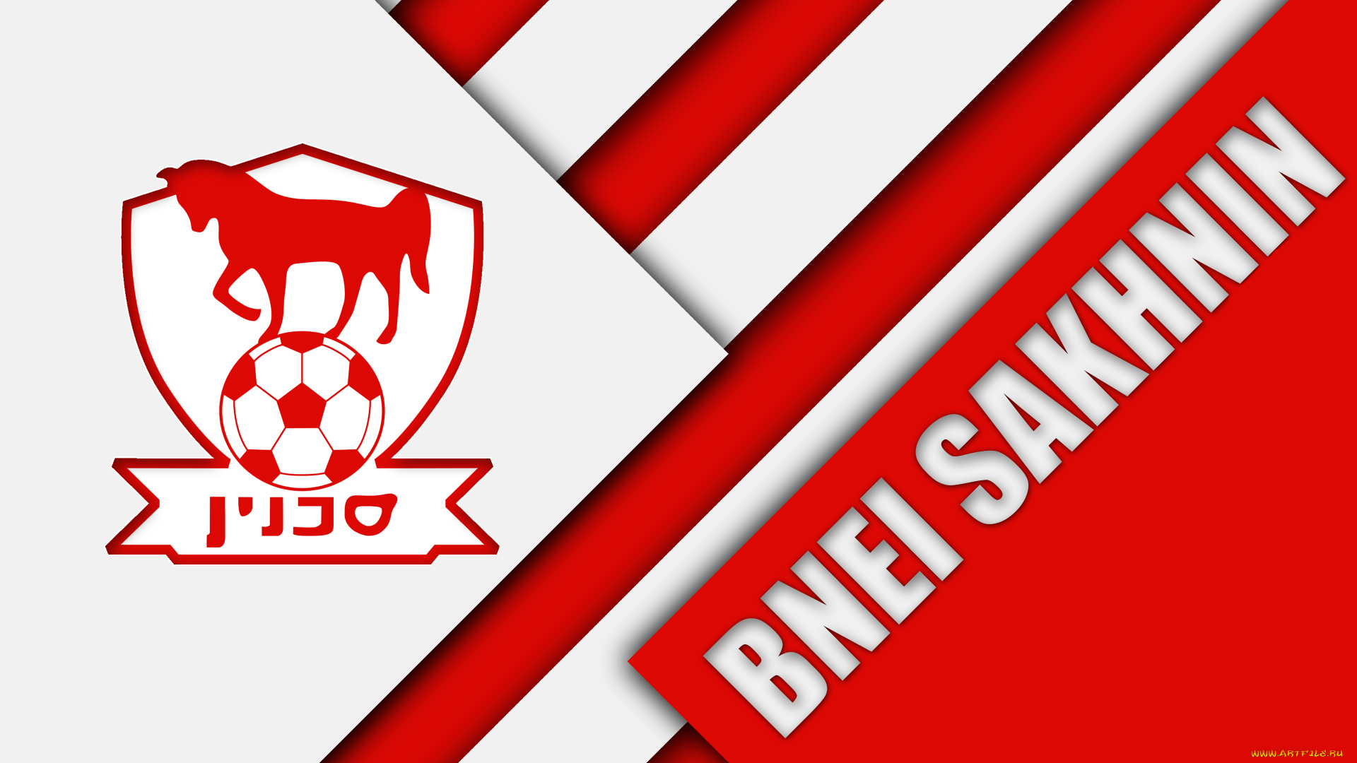 спорт, эмблемы, клубов, полосы, линии, цвета, фон, логотип