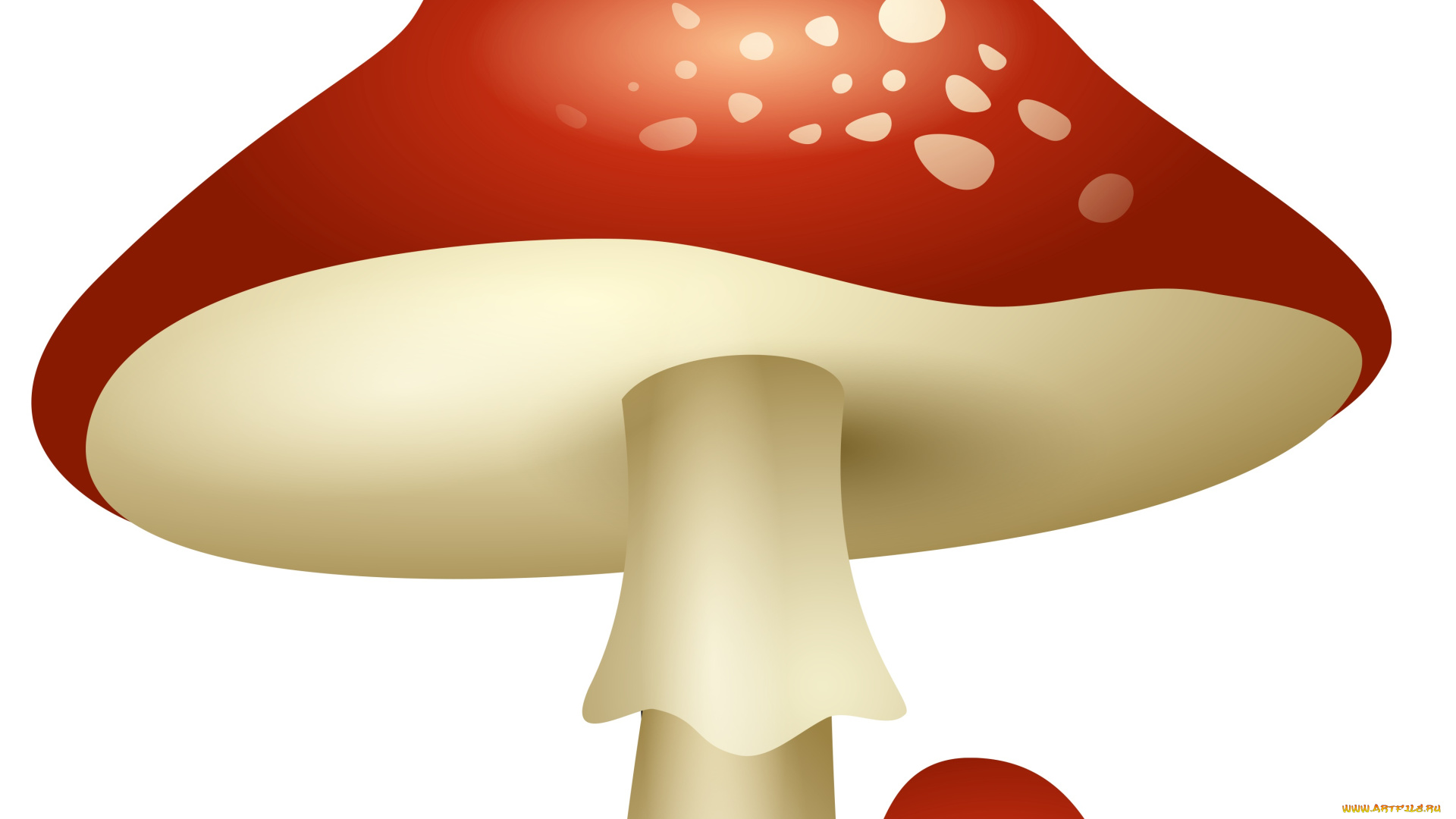 векторная, графика, другое, , other, мухомор, гриб