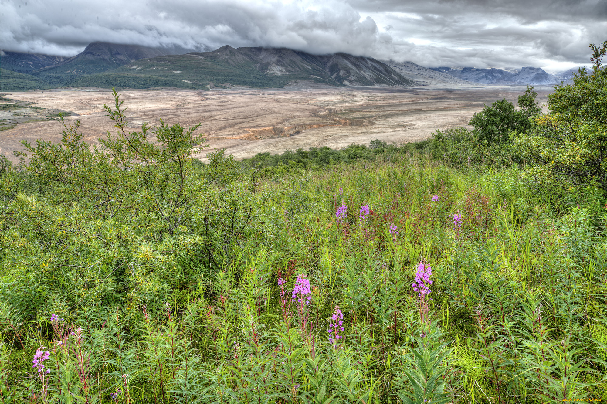 природа, пейзажи, простор