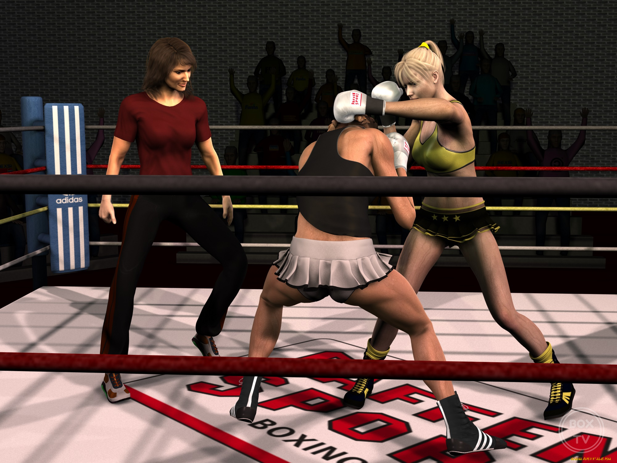 3д, графика, спорт, , sport, бокс, фон, ринг, взгляд, девушки