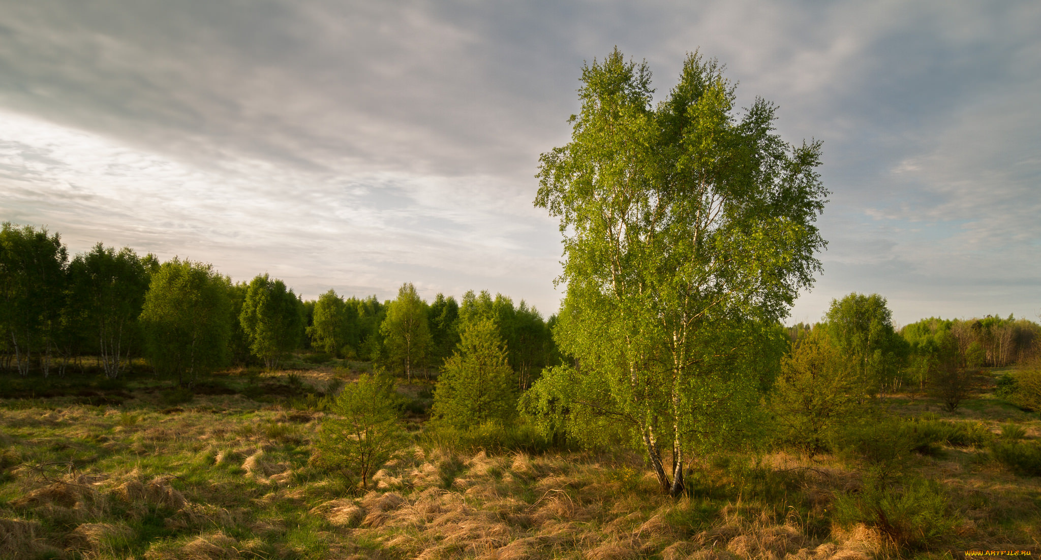 природа, пейзажи, простор