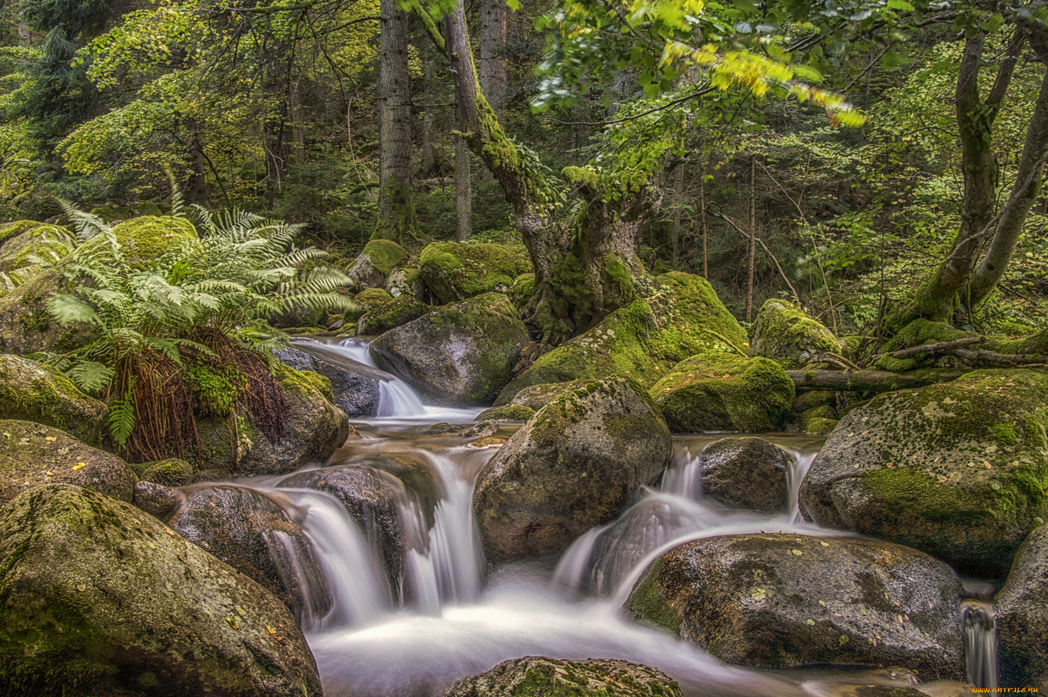 природа, реки, озера, простор