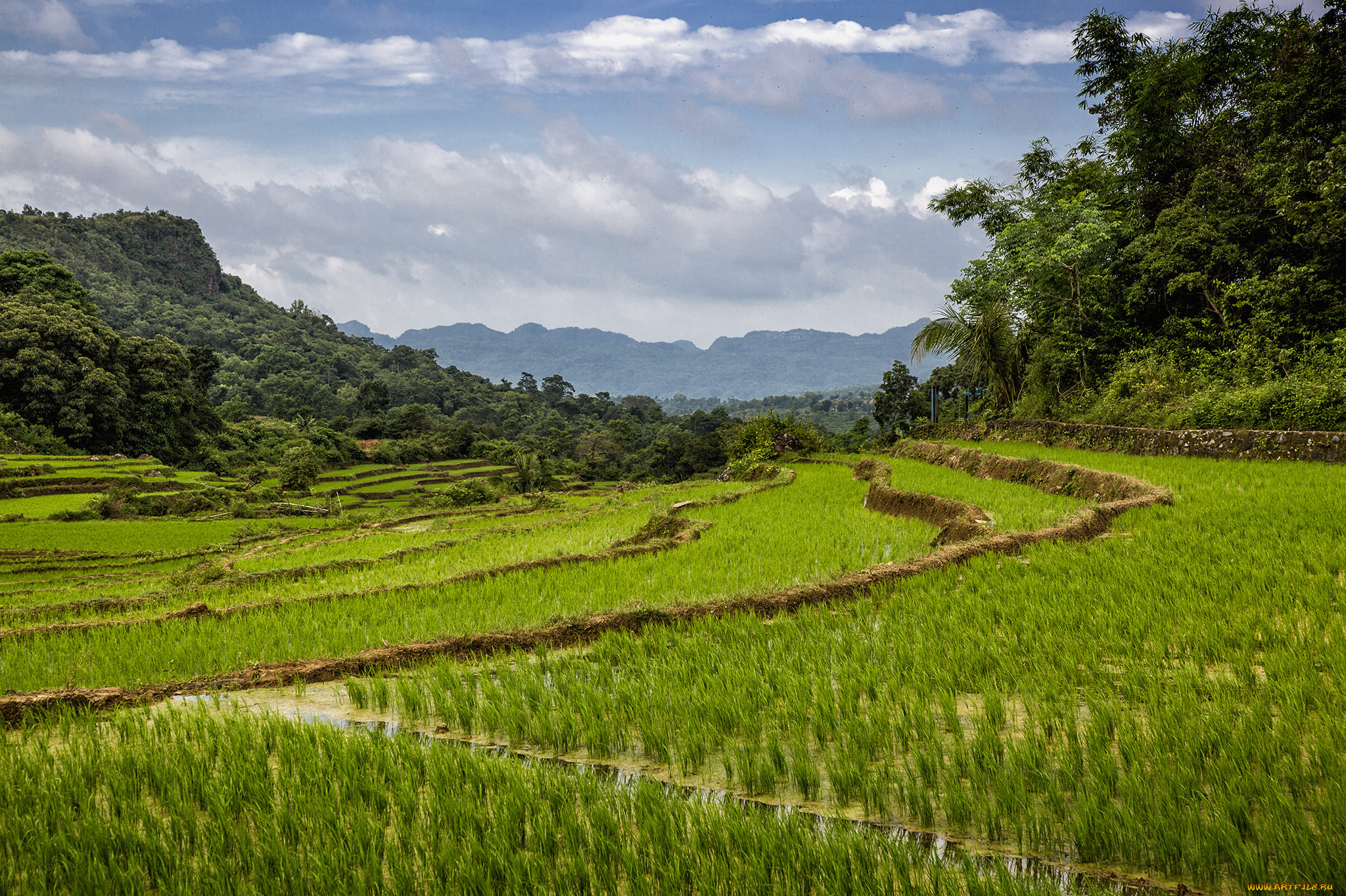 природа, пейзажи, простор