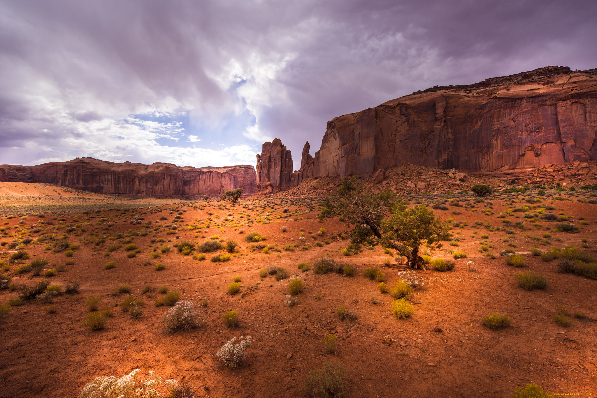 природа, пустыни, простор