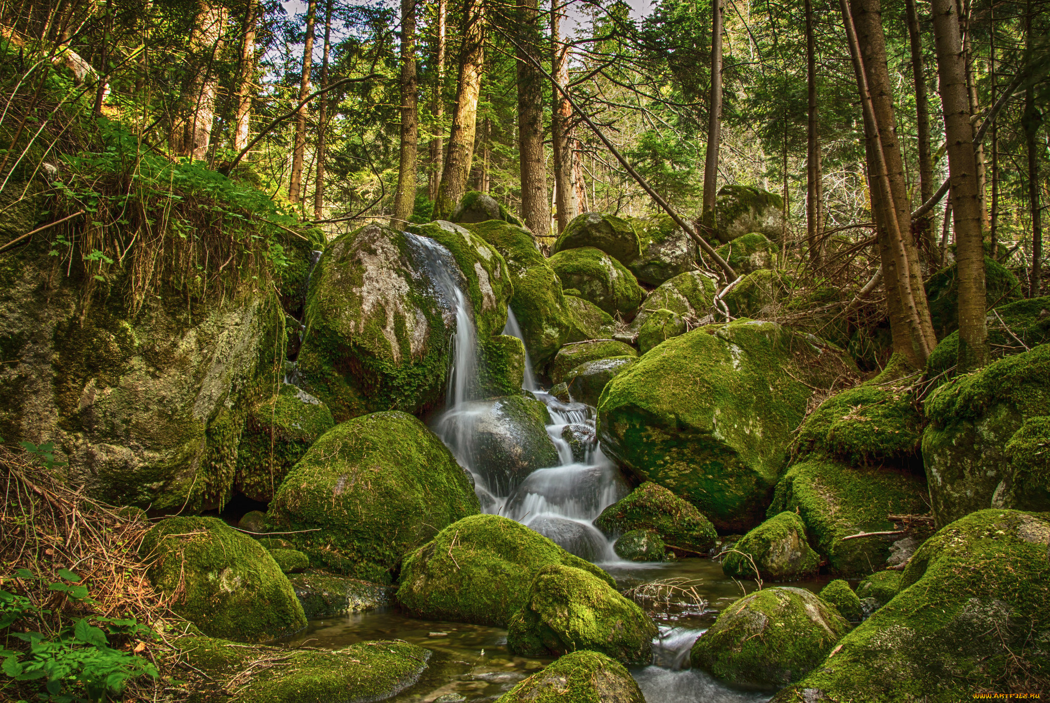 природа, реки, озера, простор