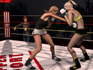 Картинка 3д+графика спорт+ sport девушки бокс ринг фон взгляд
