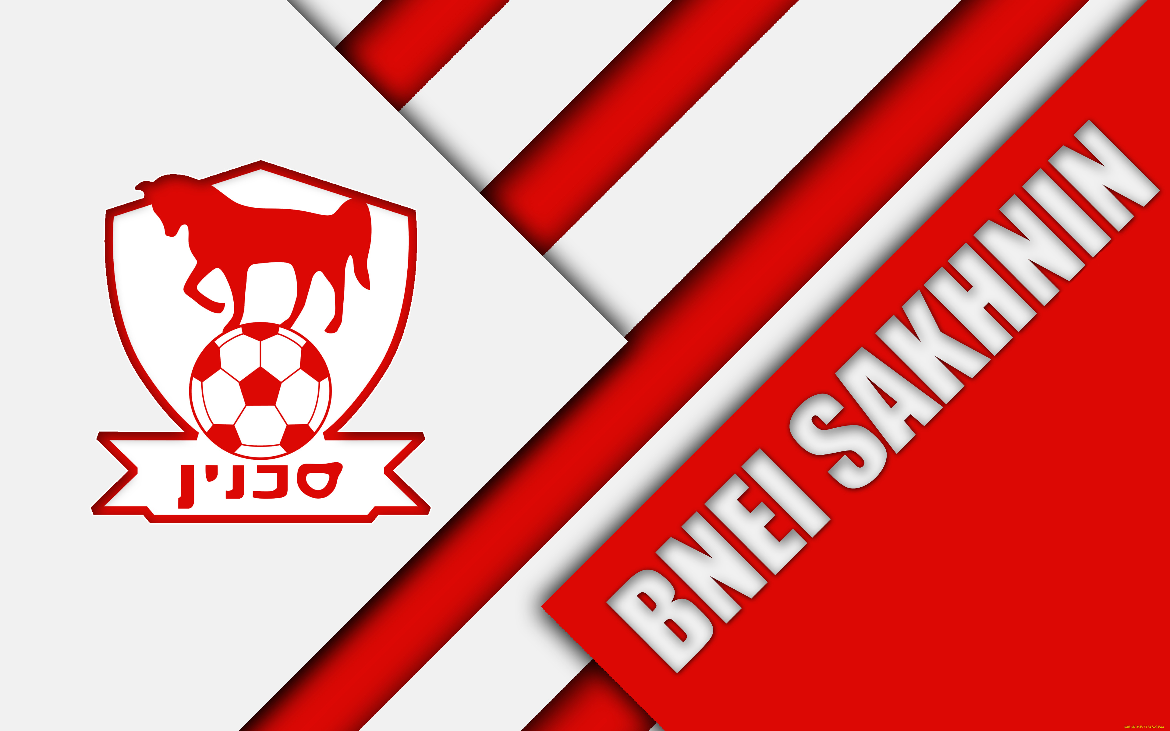 спорт, эмблемы, клубов, полосы, линии, цвета, фон, логотип