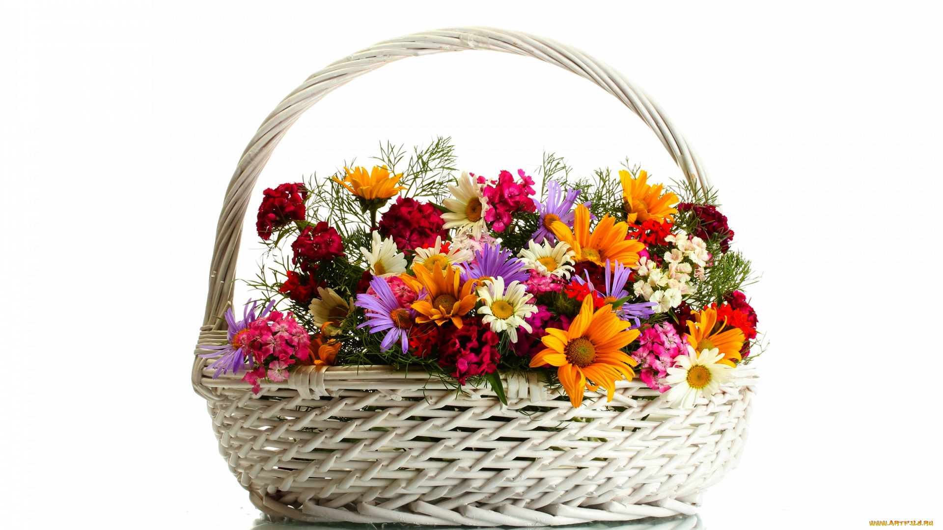 цветы, букеты, , композиции, букет, корзинка