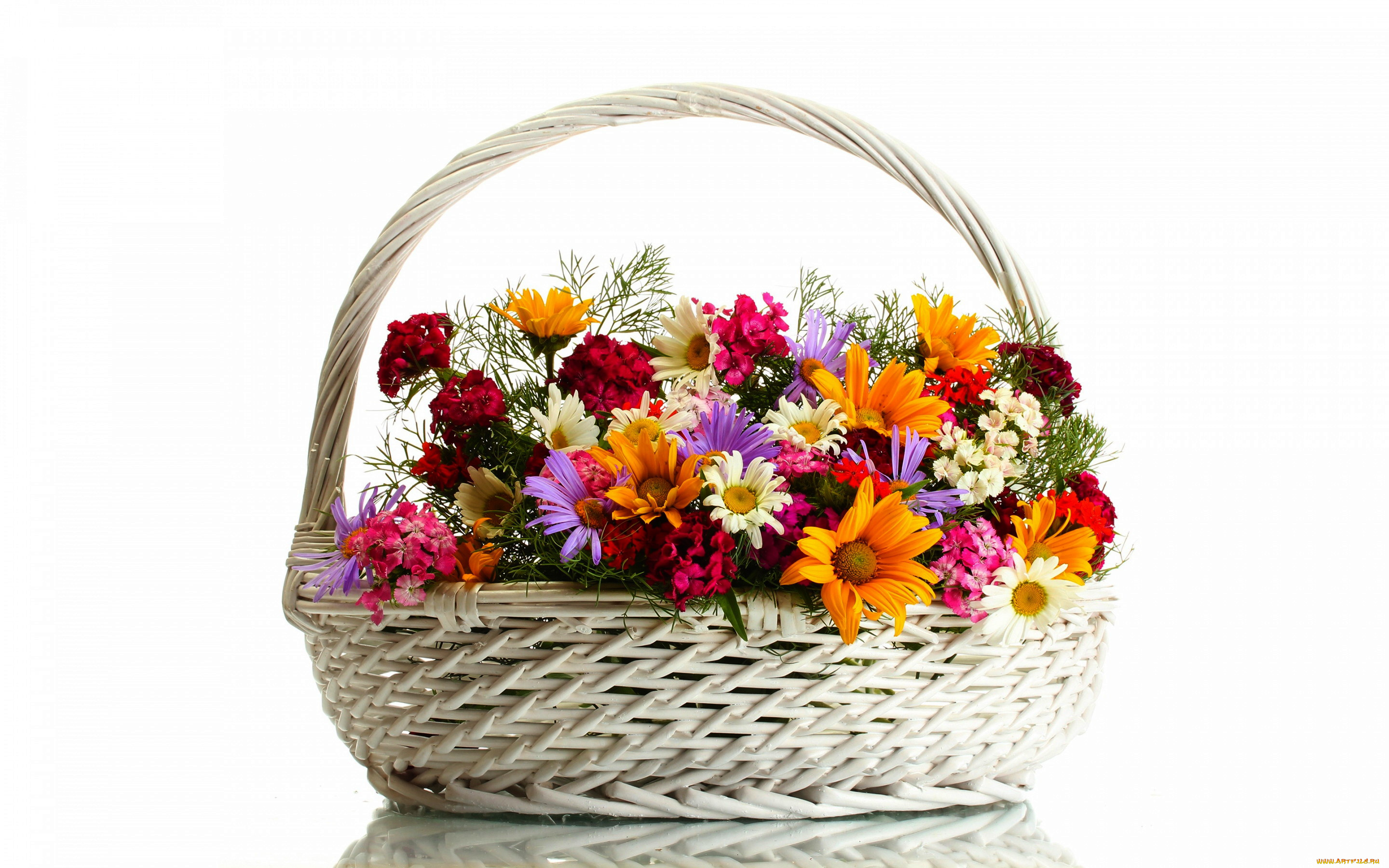 цветы, букеты, , композиции, букет, корзинка