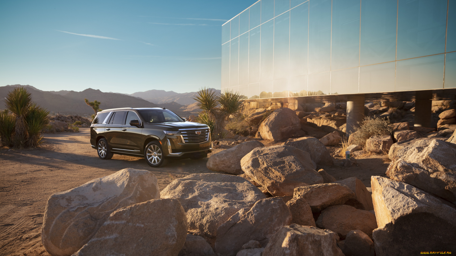 автомобили, cadillac