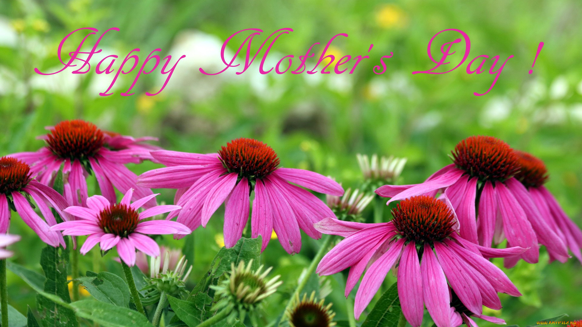 праздничные, день, матери, надпись