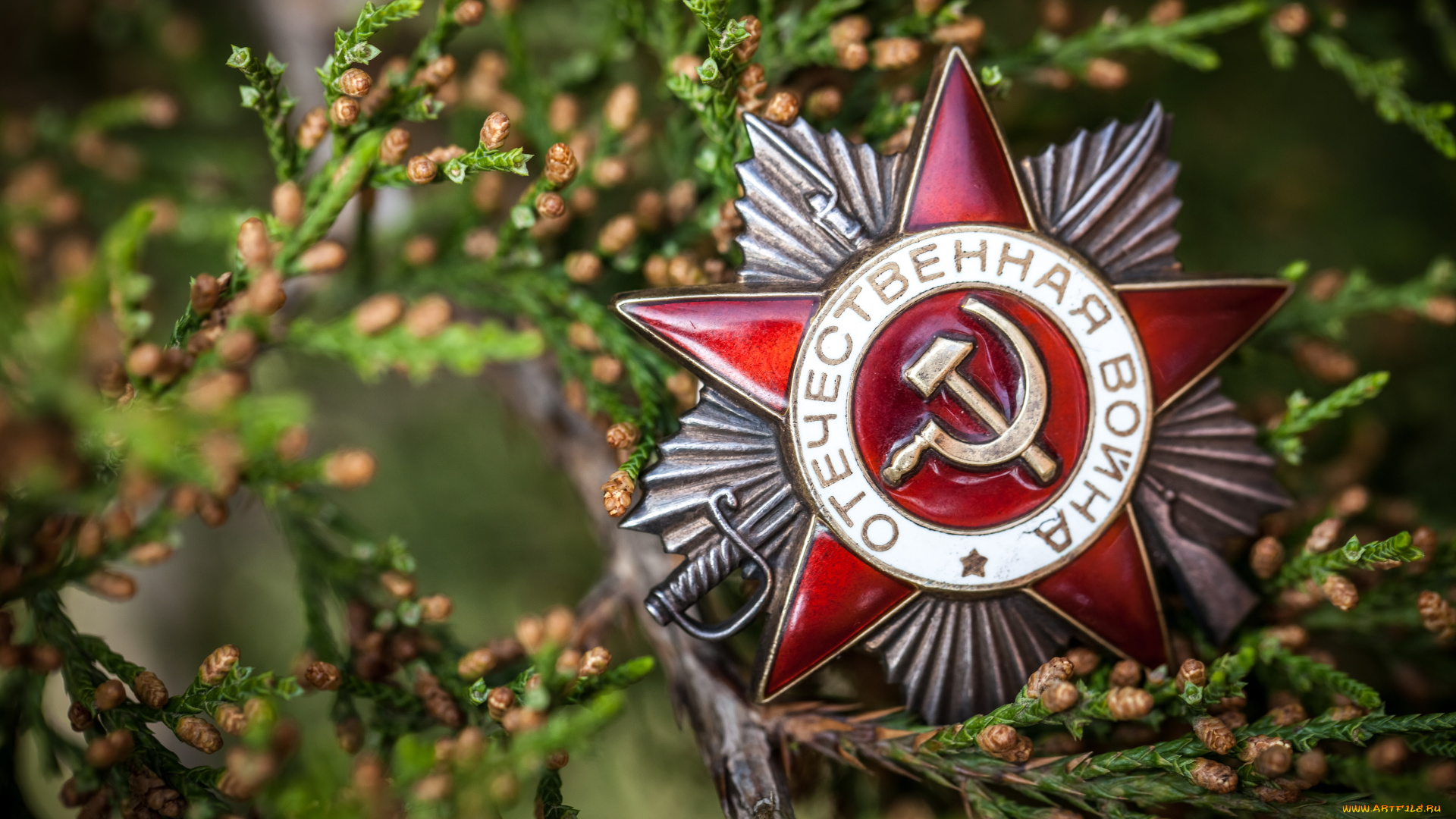 с, днём, победы, праздничные, день, победы, с, днём, победы, 9, мая, победа, звезда, отечество