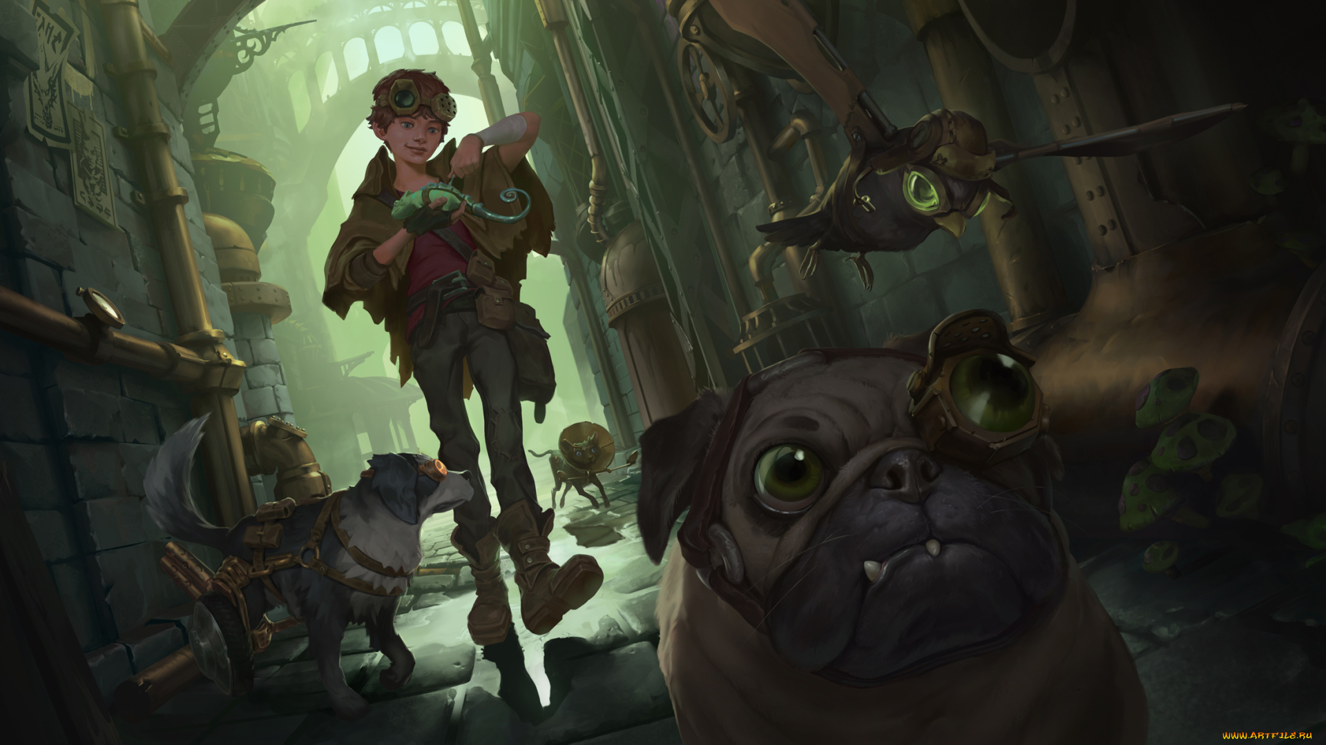 видео, игры, league, of, legends, , legends, of, runeterra, legends, of, runeterra