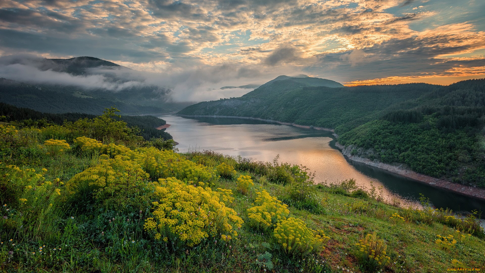 природа, реки, озера, горы, река, туман