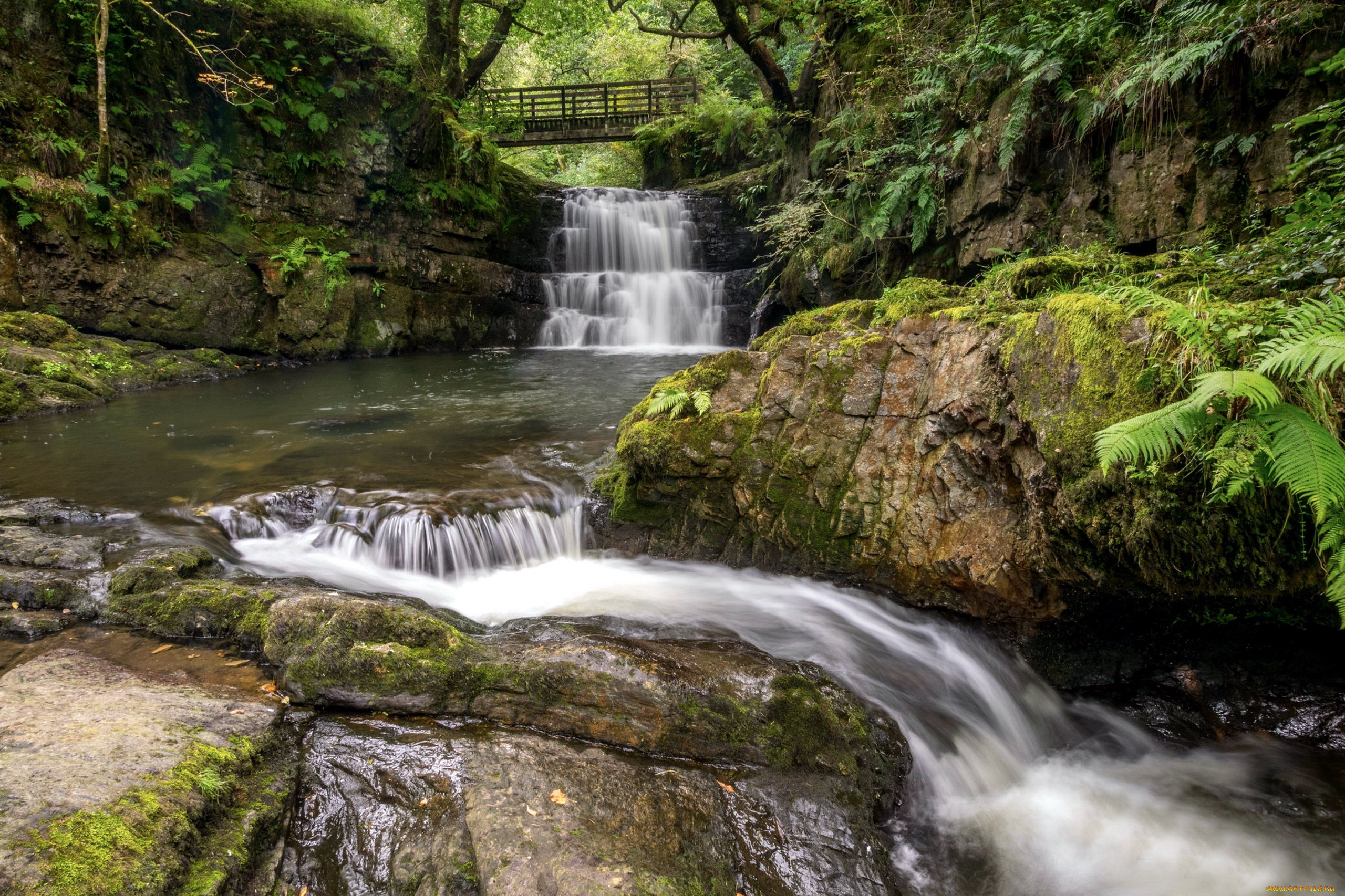 sychryd, waterfall, pontnedfechan, wales, природа, водопады, sychryd, waterfall