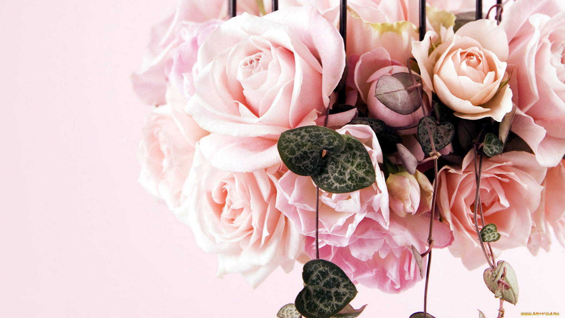 цветы, букеты, , композиции, букет, розы, листья