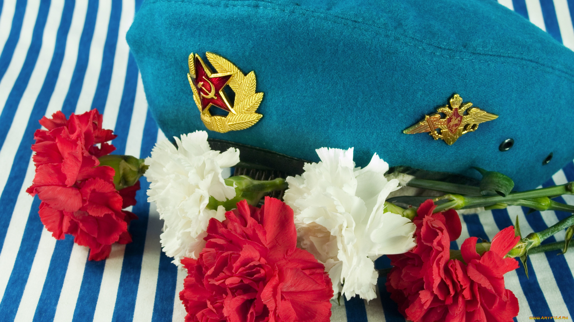 разное, одежда, , обувь, , текстиль, , экипировка, берет, кокарда, цветы, тельняшка