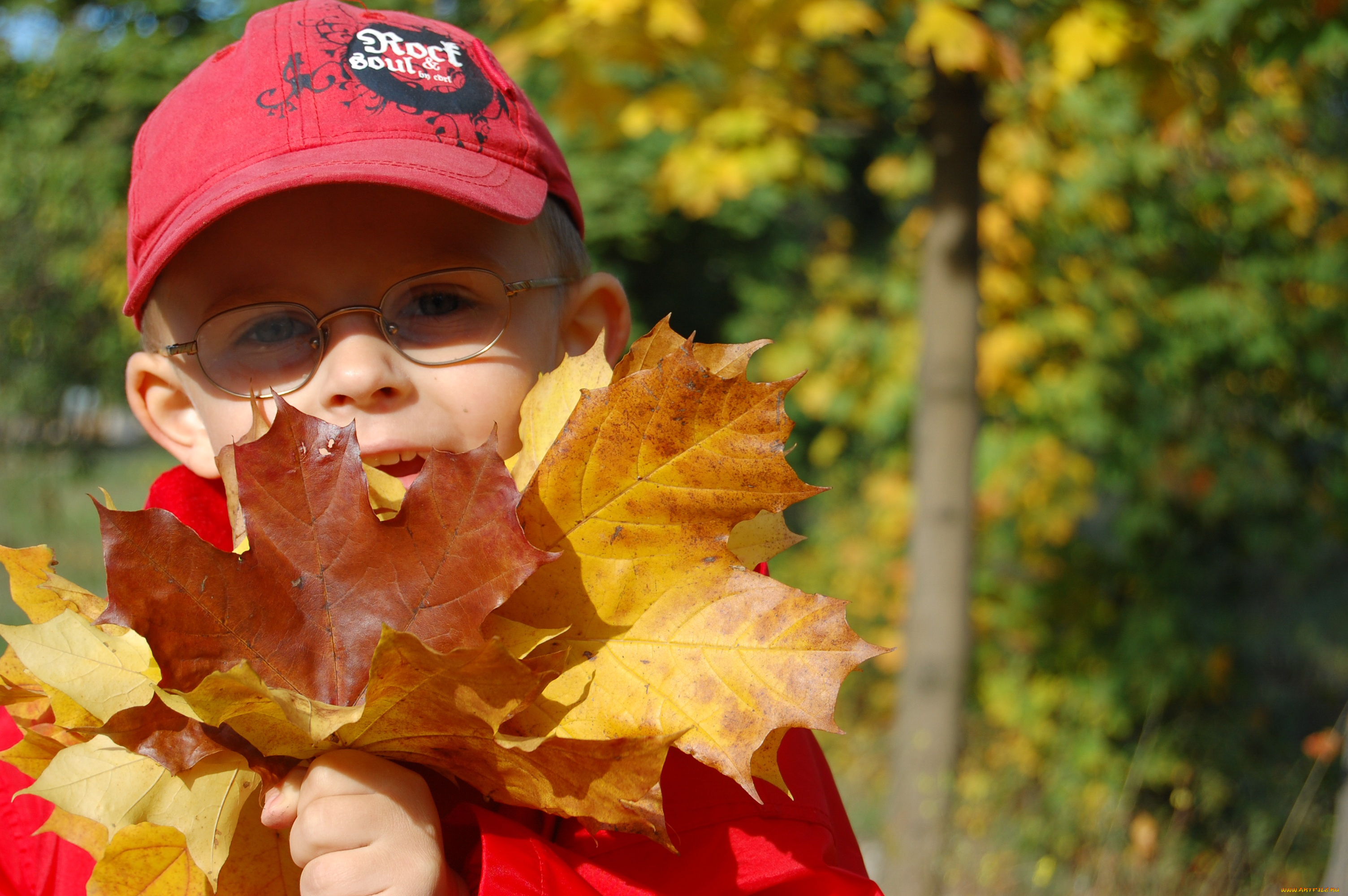 разное, люди, мальчик, кепка, очки, листья, осень