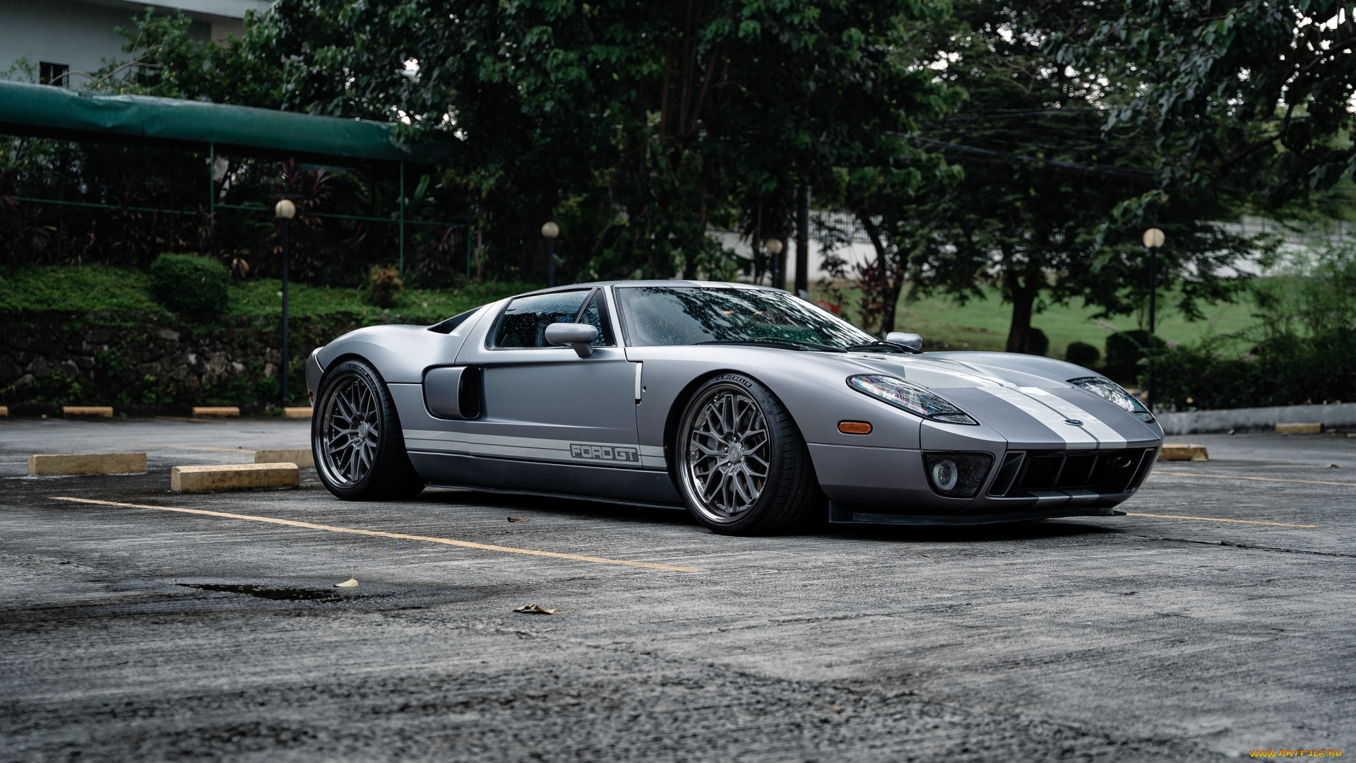 автомобили, ford, gt, grey, trees