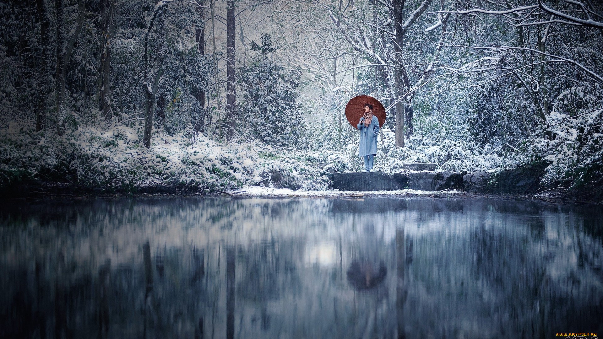 мужчины, xiao, zhan, актер, шарф, лес, зонт, снег, озеро