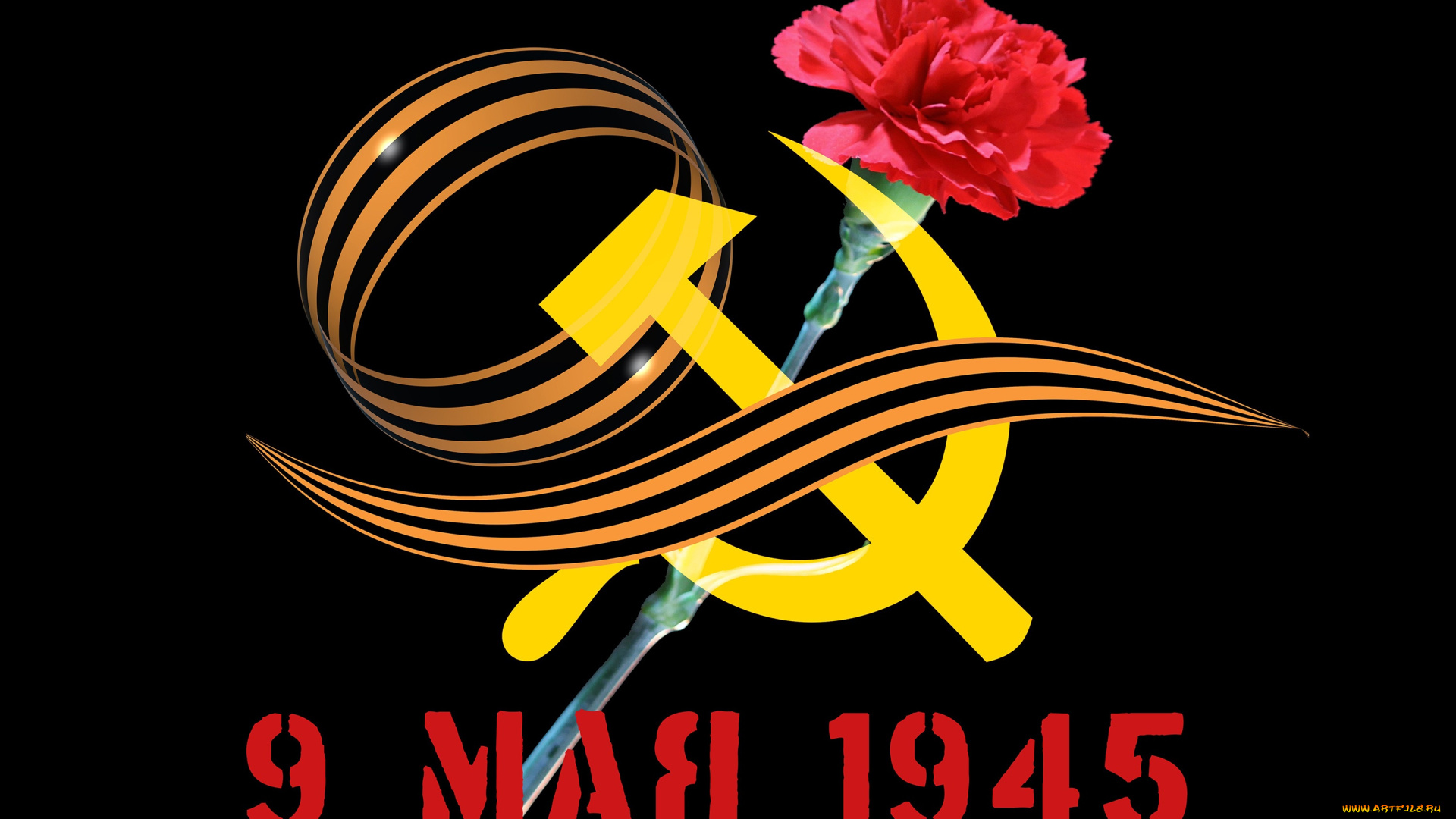 праздничные, день, победы, цветок, георгиевская, лента, 9, мая, гвоздика, день, победы