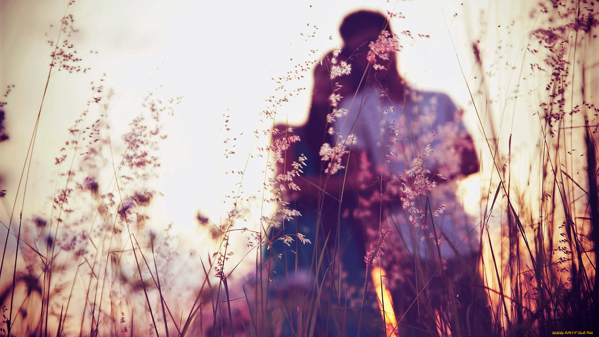 разное, мужчина, женщина, пара, трава