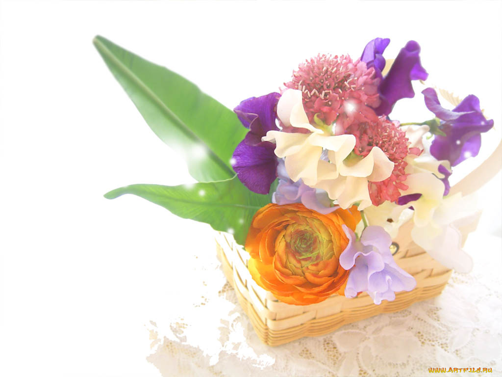 цветы, букеты, композиции