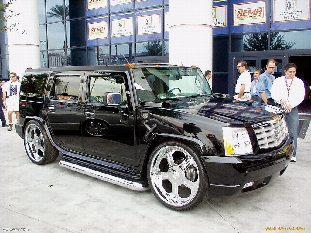 hammer, cadillac, tuning, автомобили, hummer