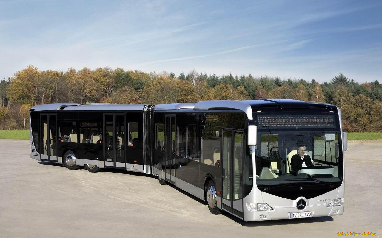 автомобили, автобусы