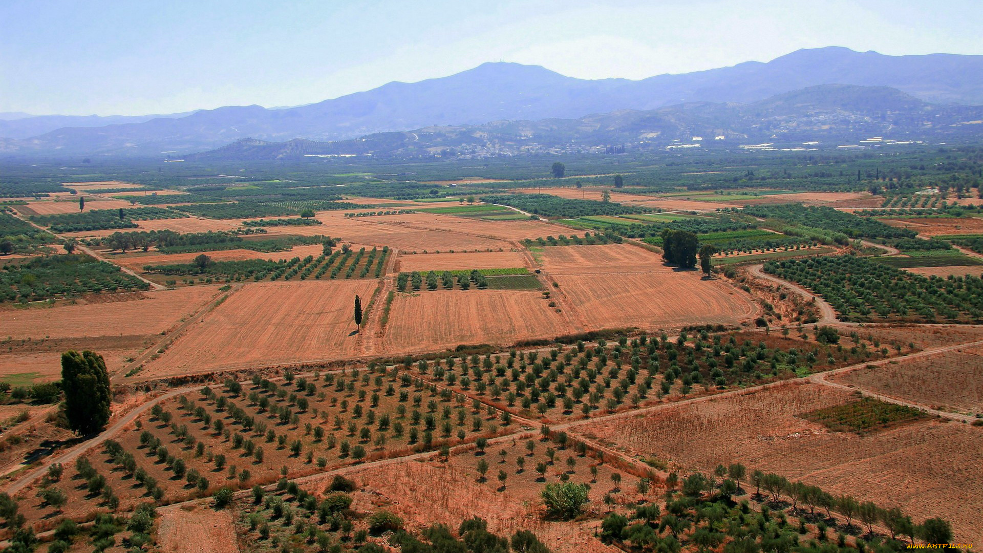 природа, поля